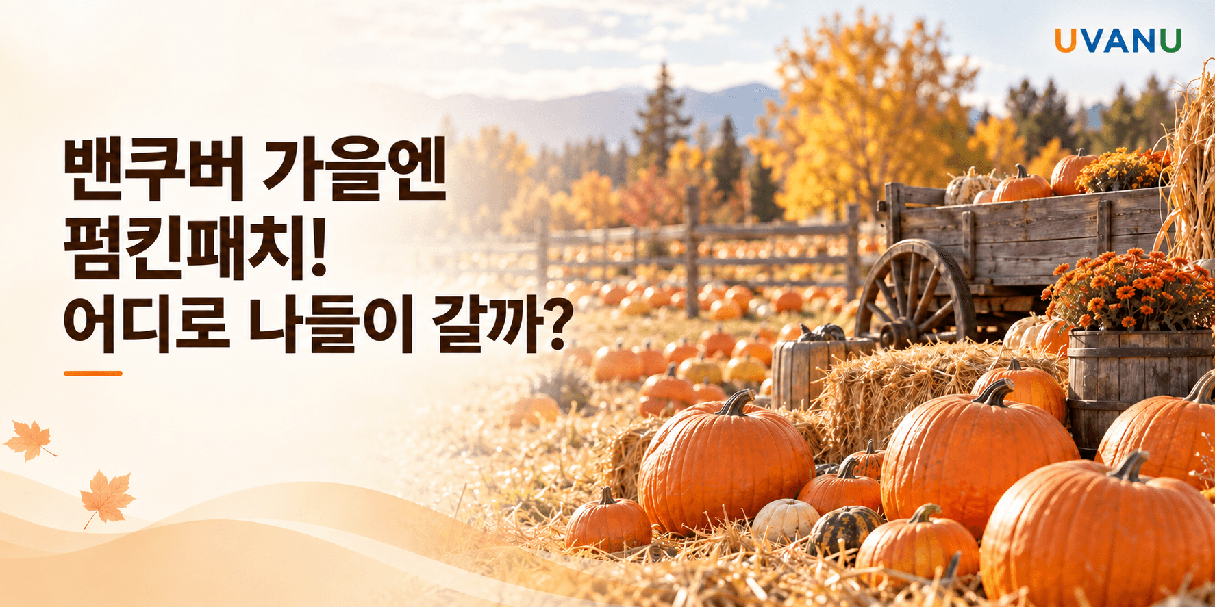 밴쿠버 가을엔 펌킨패치! 어디로 나들이 갈까? | 가을 나들이 가이드 대표 이미지